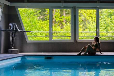 Hotel with Indoor Pool Alsace · La Vallée Noble · Haut-Rhin